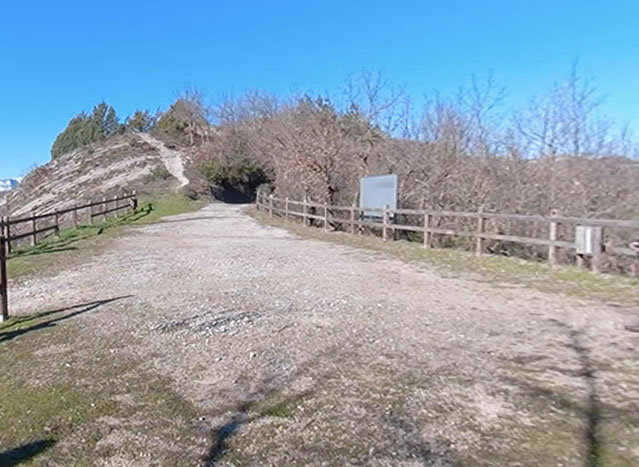 varano1